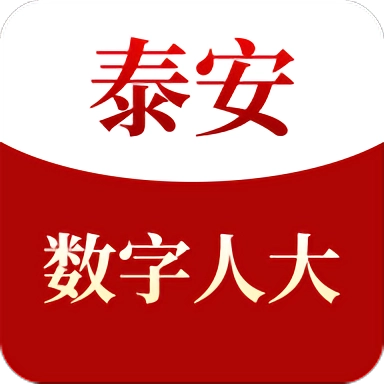 泰安数字人大