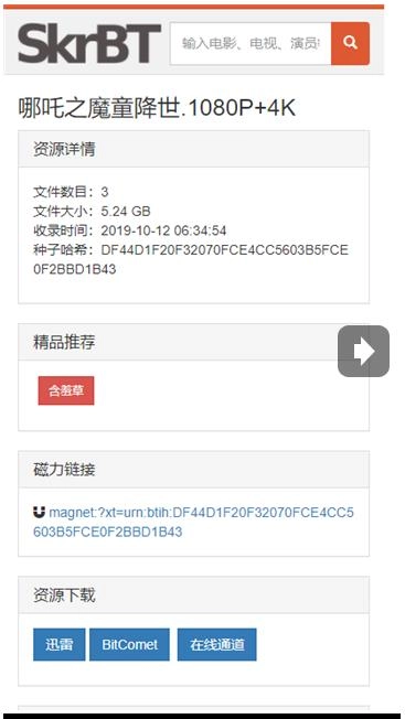 skrbt浏览器安装图2