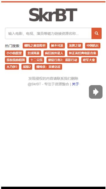 skrbt浏览器安装图3