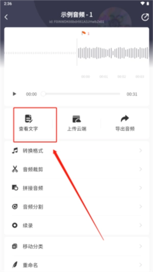 松鼠录音转文字