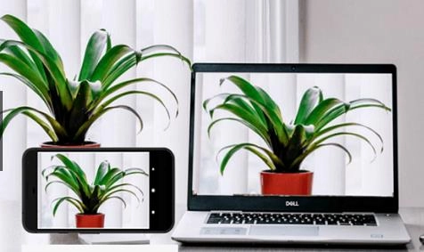 Iriun Webcam安卓版图1