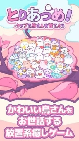 小鸟收集手机版(1)