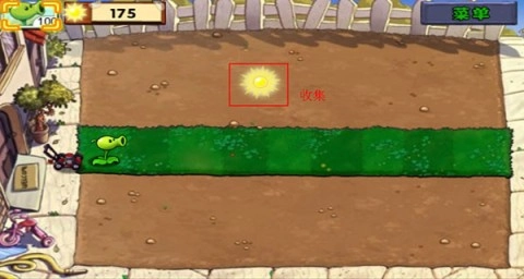 植物大战僵尸wp版