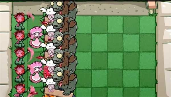 植物大战僵尸bt美人樱版