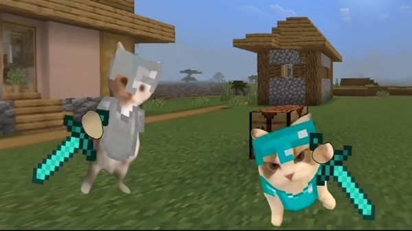 小猫冒险求生(3)