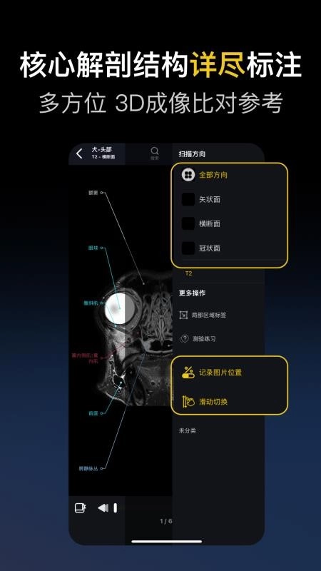 兽医解剖图谱最新版(4)