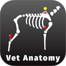 兽医解剖图谱最新版