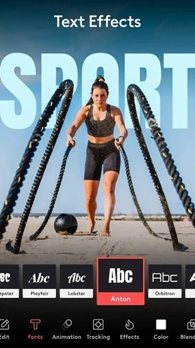 Enlight Videoleap图2