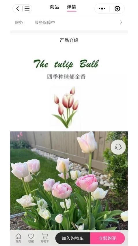 七彩荔枝手機(jī)版圖1