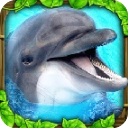 海豚模拟器