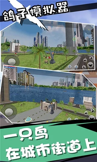 鸽子模拟器(鸽子模拟游戏)  手机版(4)