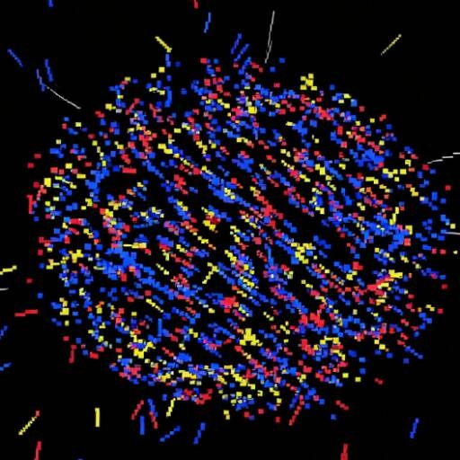 夜空绚烂烟花戏 V4.11.5