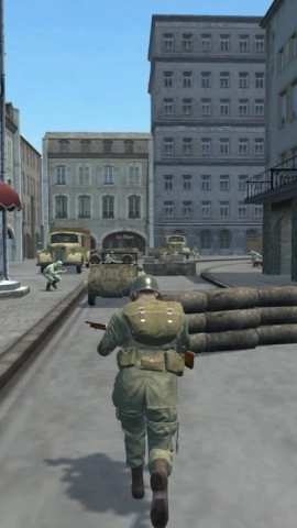 二戰(zhàn)前線英雄(Medal of Valor 2)截圖2