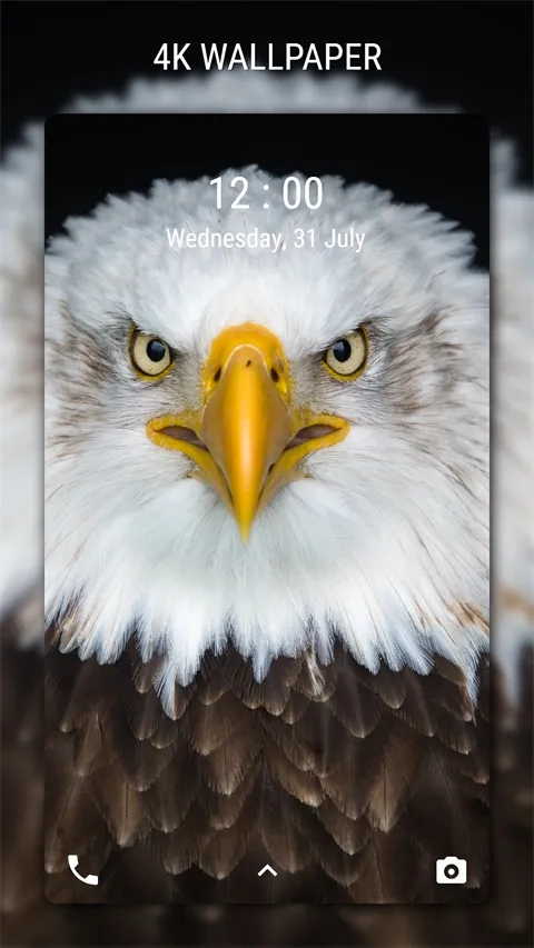 手机4K壁纸最新手机版图4