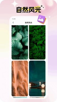 灵蝶壁纸绿色版4