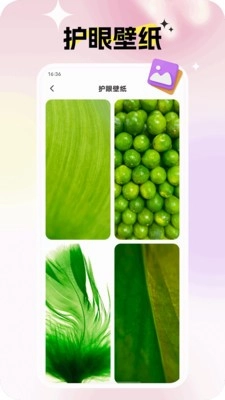 灵蝶壁纸绿色版1