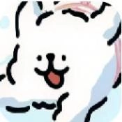 小白大战小鸡毛