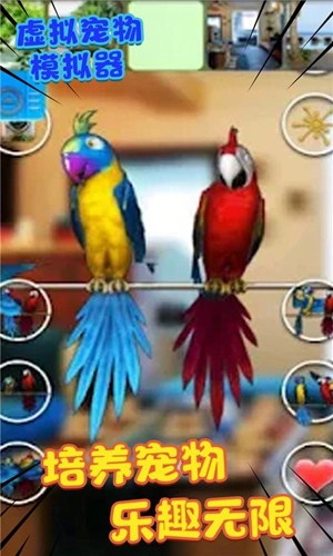 虚拟宠物模拟器手机版图5