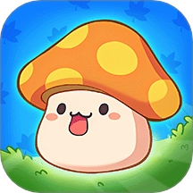 冒险岛枫之新篇