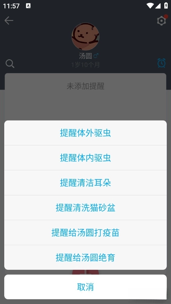 猫咪成长记最新版4