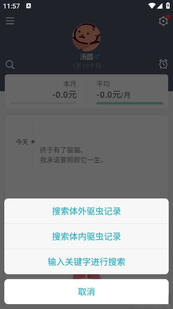 猫咪成长记最新版2