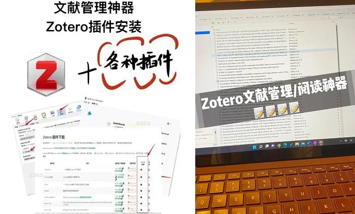 zotero电脑版图4