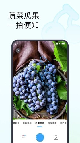 拍照识别植物图2