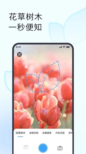 拍照识别植物图4