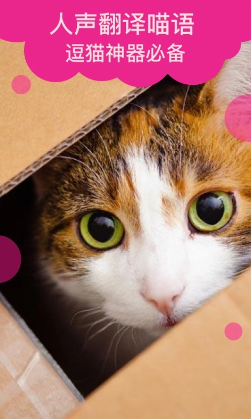 猫语翻译图2