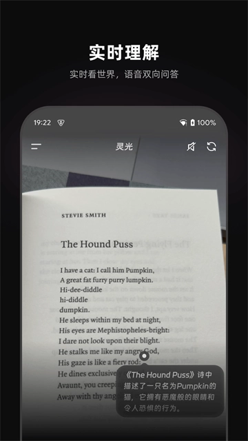 灵光1.0.28.8000图3