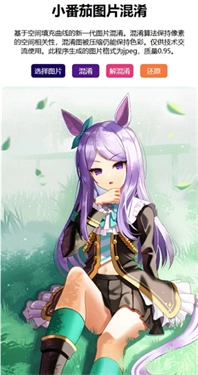 小番茄解混淆图片图4