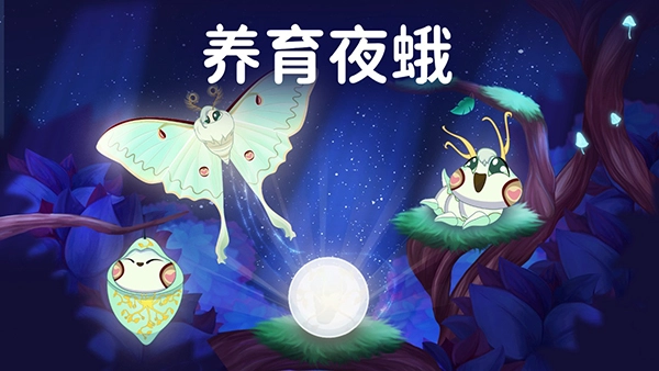 彩翼之星夜菜单图1