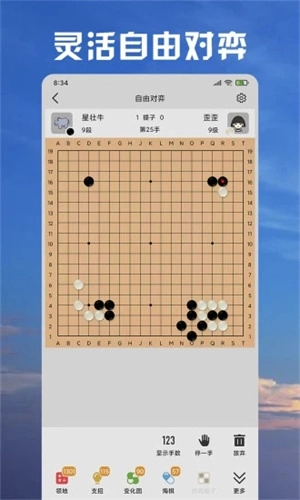 星阵围棋