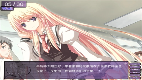 鸑鷟镜花水月图4