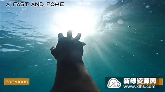 丛林生存模拟器2025最新版图5