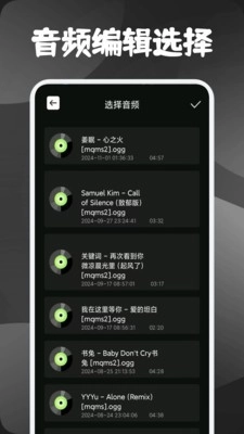灵动音乐制作绿色版截图2