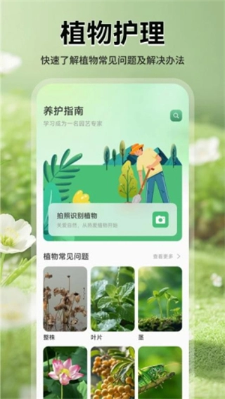花团锦绣拾光图3