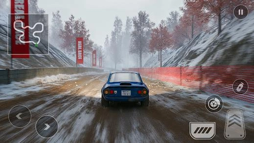 拉力赛车专业版图4