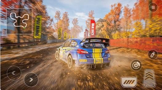 拉力赛车专业版图3