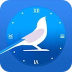 布谷鸟闹钟正版