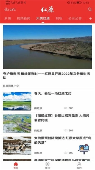 大美红原客户端4