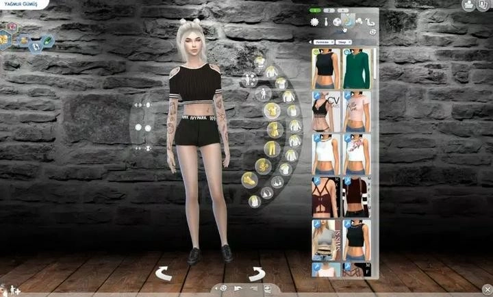 模拟人生4仿制版