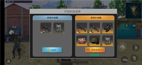 模拟真实吃鸡手机版(3)