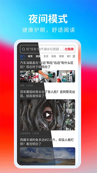 飞觅浏览器安装手机版图2