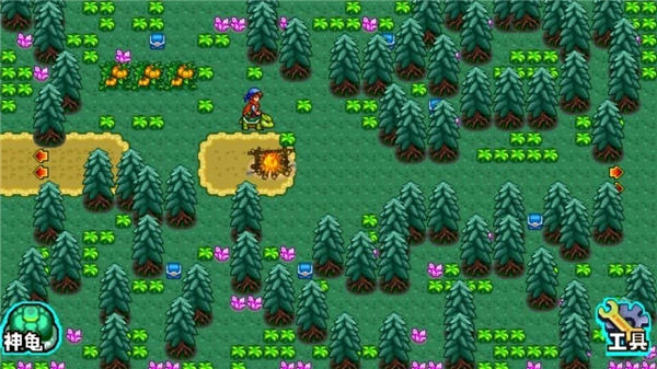 宠物王国4白金1