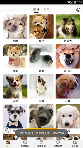 狗语翻译器中文版