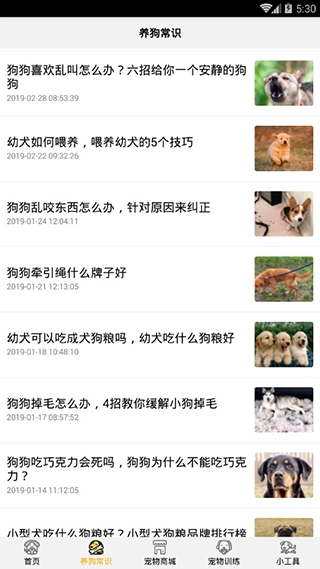 狗语翻译器中文版