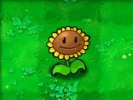 植物大战僵尸老版本