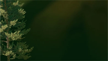 掘地求升手机版图3