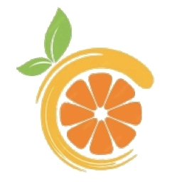 Citron模拟器 Ve2808ec